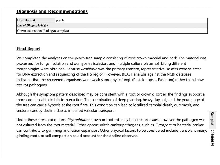 An Ohio State C-FAES plant and pest diagnostic report, showing the diagnosis and the final report narrative